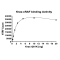 Kras Q61K–cRAF Binding Assay Kit